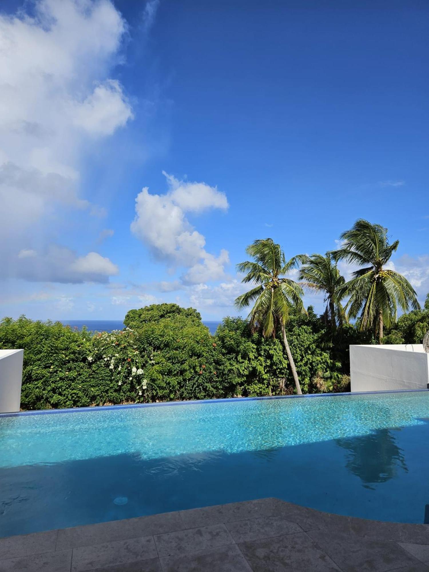 Purple Haze - Infinity Pool Holiday Home Minutes From The Island'S Best Beaches Saint James Zewnętrze zdjęcie